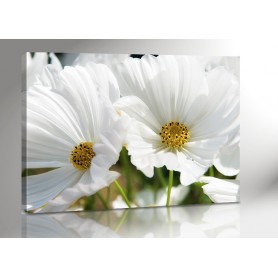 WHITE FLOWER 140 x 100 cm