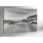 DARSS | GROSSE DÜNE | OSTSEE | FISCHLAND | 140 x 100 cm